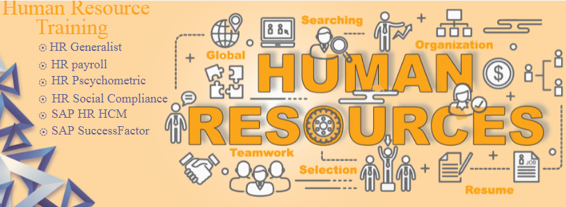 HR Course in Delhi, Build Practical Techno-Functional Skills in HR Operations, Talent Management, Payroll and AI-Enabled Workforce Analytics for Corporate Success by SLA Consultants India